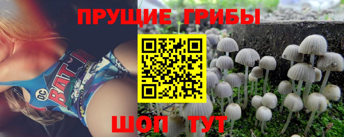 Кизляр  Галлюциногенные грибы Cubensis  Вход с VPN  Псилоцибиновые грибы мухоморы 