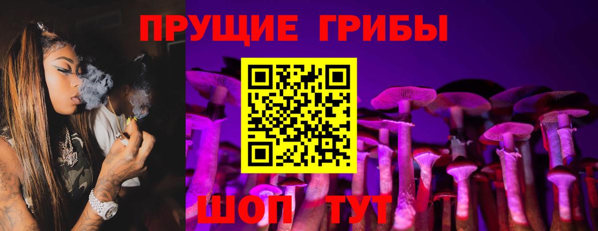 Галлюциногенные грибы прущие грибы Кизляр